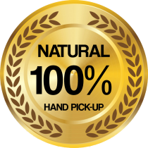 100X 100X